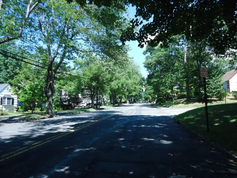 New Providence Nj Leafy Street On A Summer Day