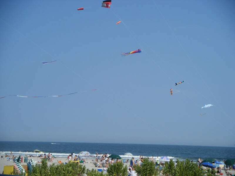 Ocean City Nj Kites At Th Street