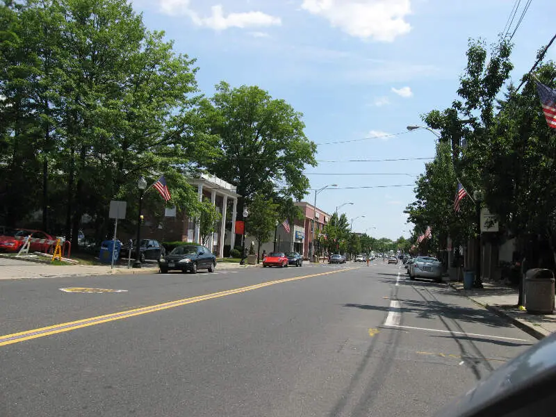 Roselle Park Chestnutstreet