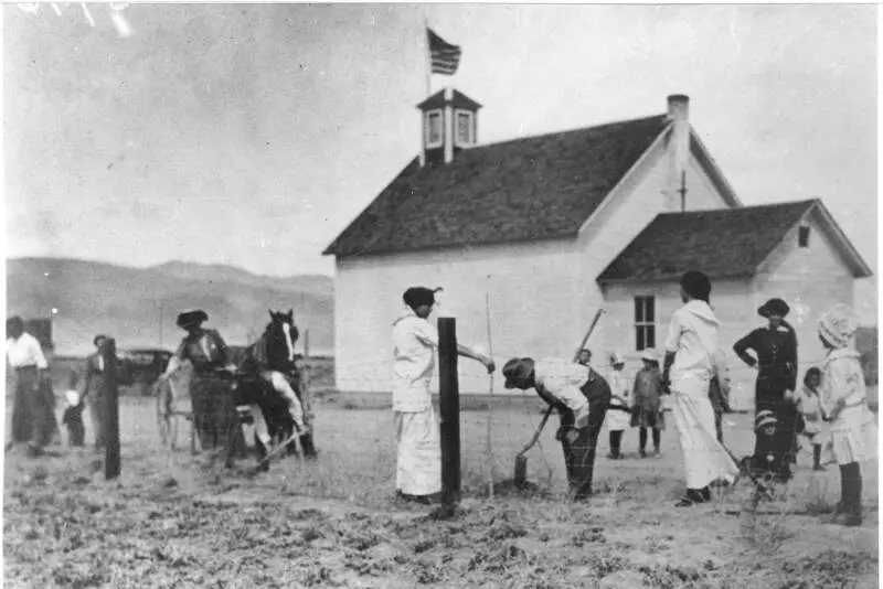 School House Chamber Of Commerce