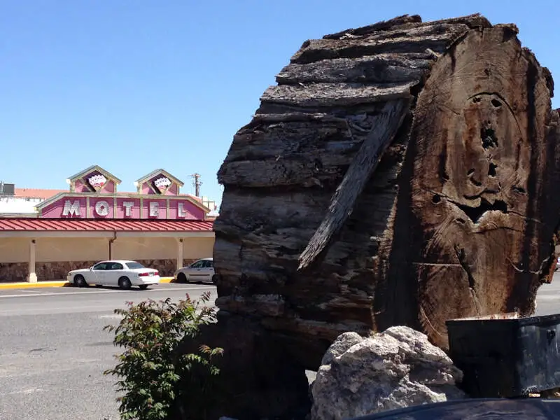Lovelock Nevada Tree Stump And Motel