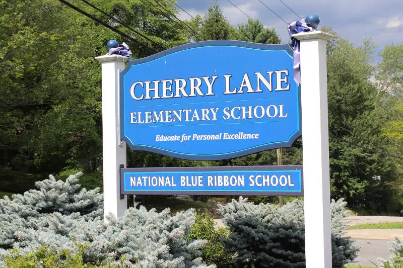 Cherry Lane School