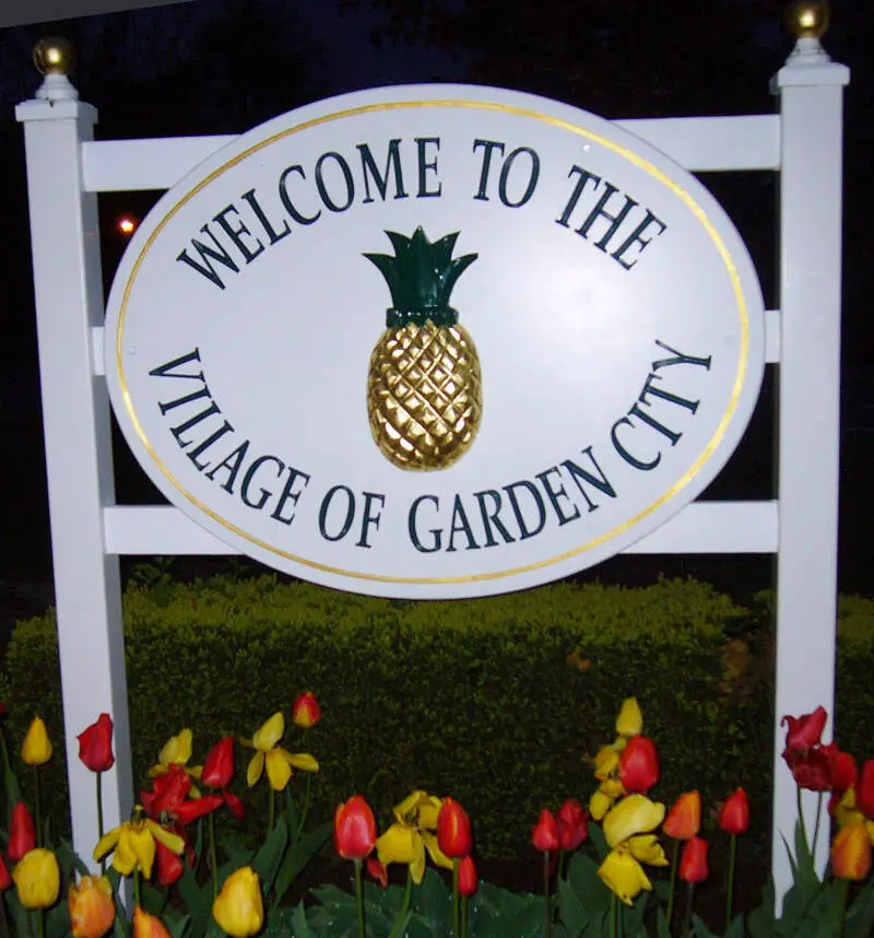 Pineapple  Garden City Ny