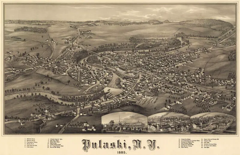 Pulaski Birds Eye