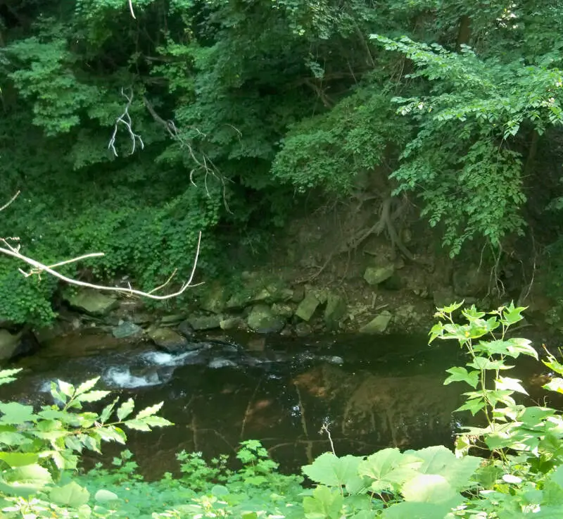 Euclid Creek C