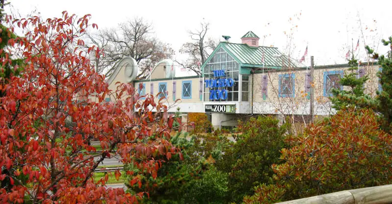 Toledo Zoo Pedestrian Bridge  West Anthony Wayne Trail  Fall