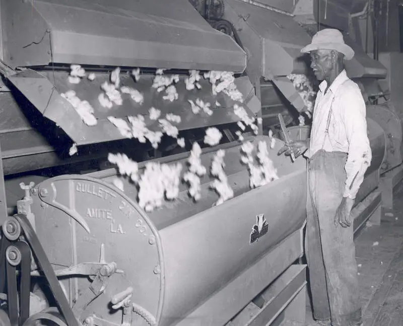 Cotton Gin  Flickr  Usdagov