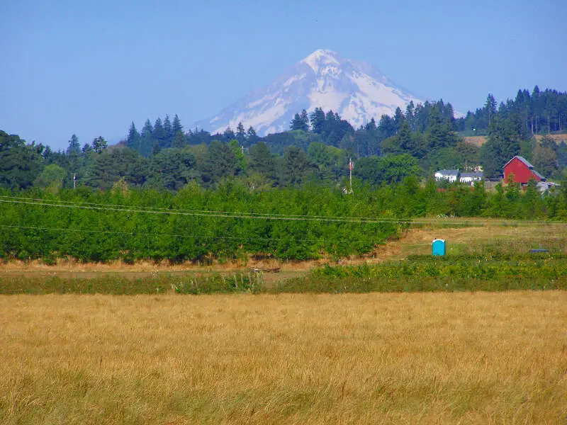 Forestrd Mthood