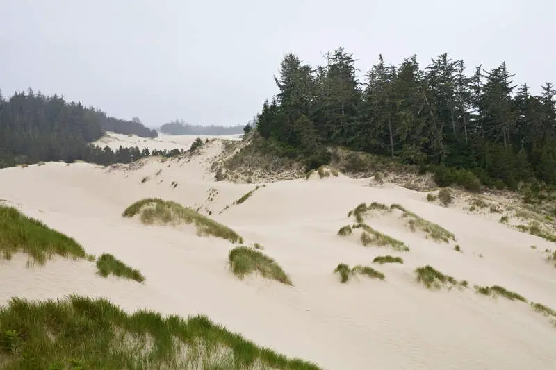 Oregondunesnra