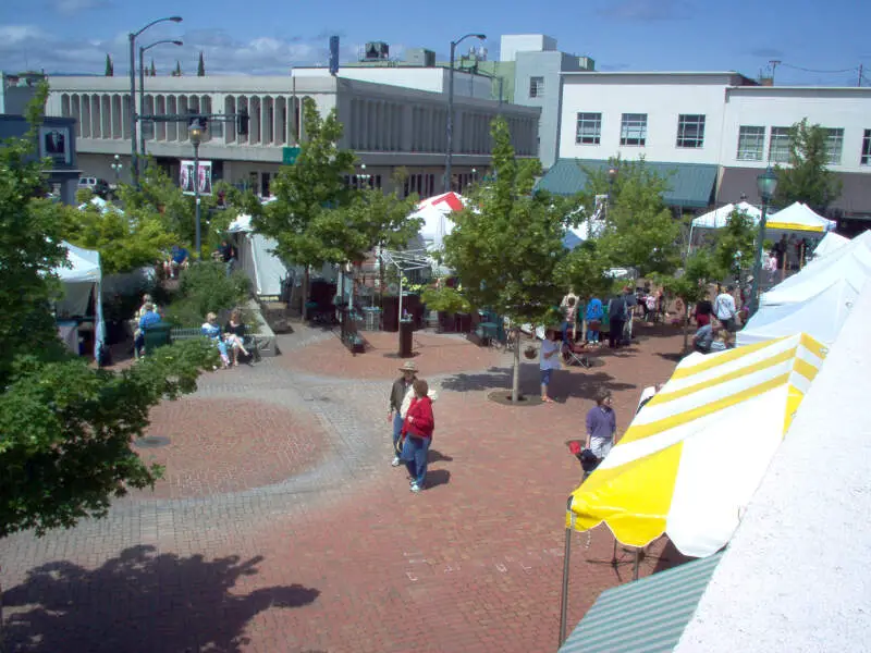 Vogel Plaza Art In Bloom