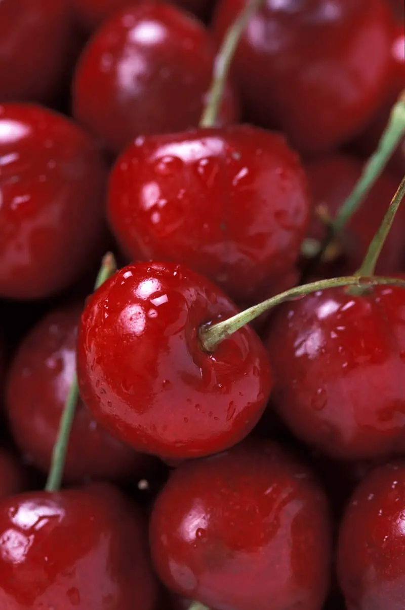 Bing Cherries Usda Ars