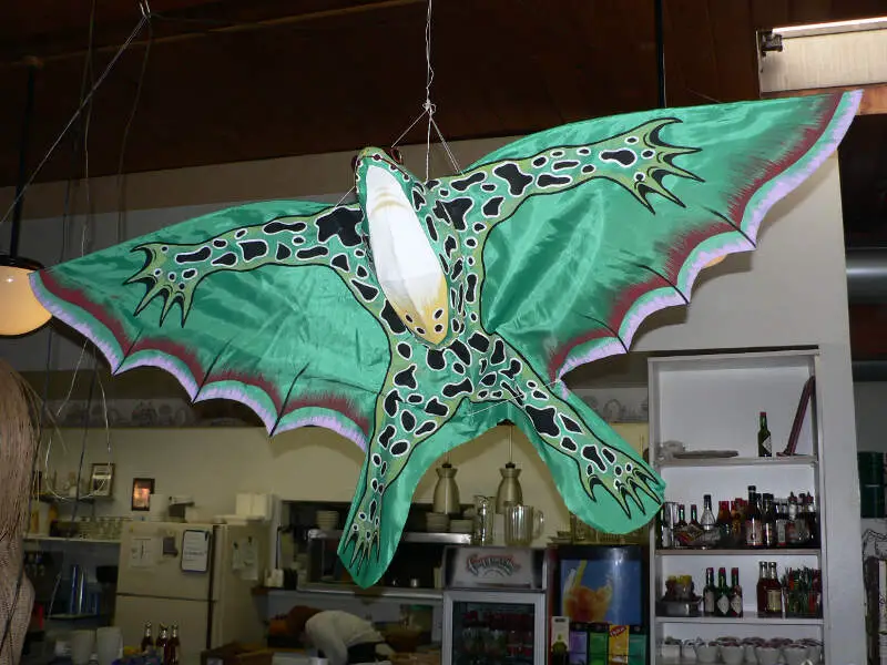 Frog Kite