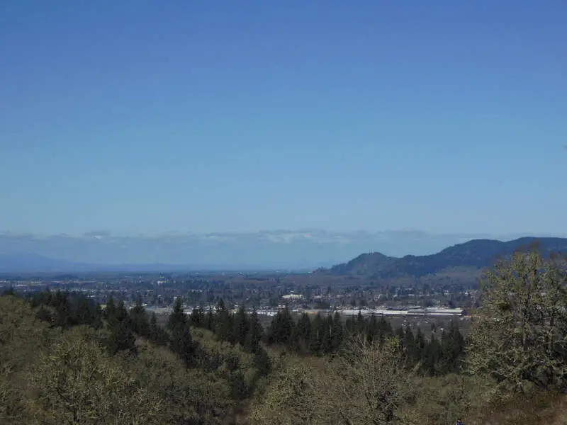 Eugene And Springfield From Mount Pisgah