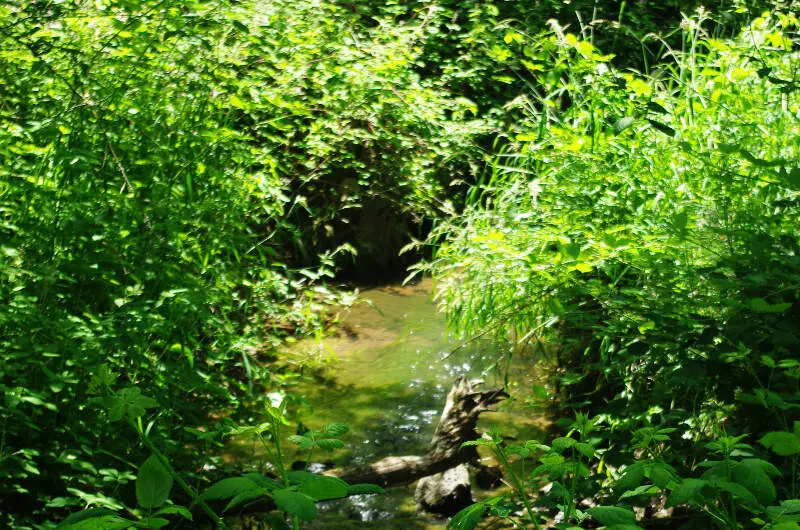 Wilsonville Memorial Park Boeckman Creek