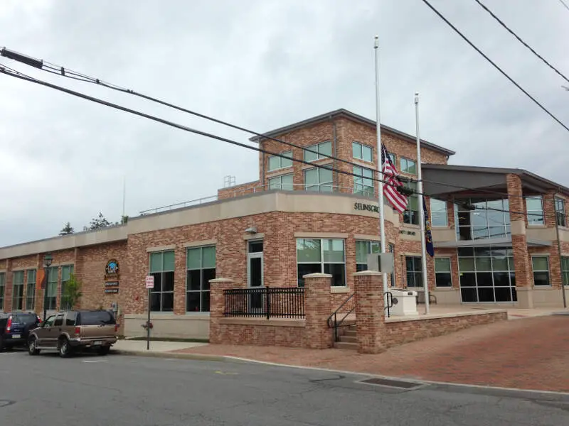 Selinsgrove Borough Building And Library