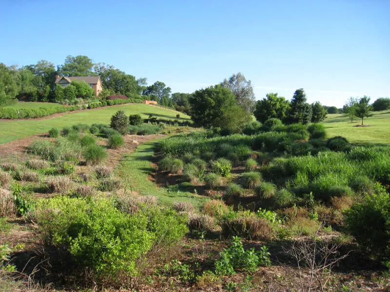 South Carolina Botanical Garden  View