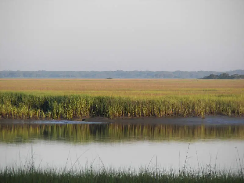 Living In Jasper County, SC