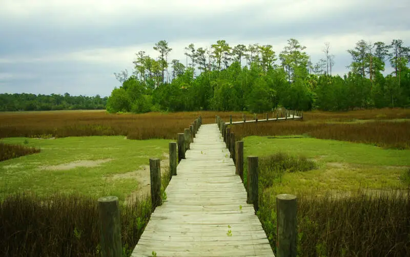 Palmetto Islands Park Boardwalk