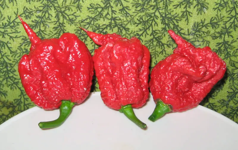 Carolina Reaper Pepper Pods