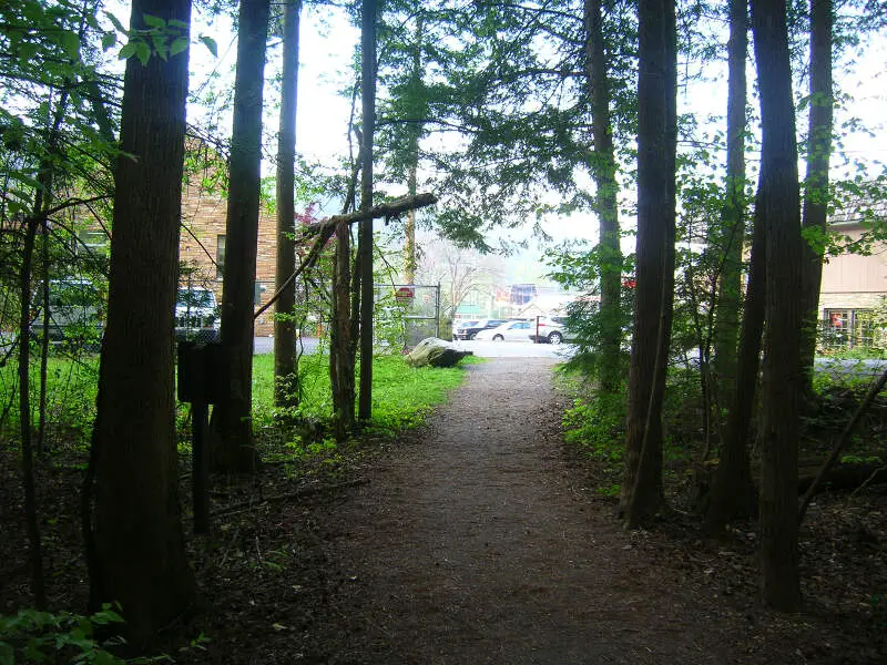 The Gatlinburg Trail Running Into The Town