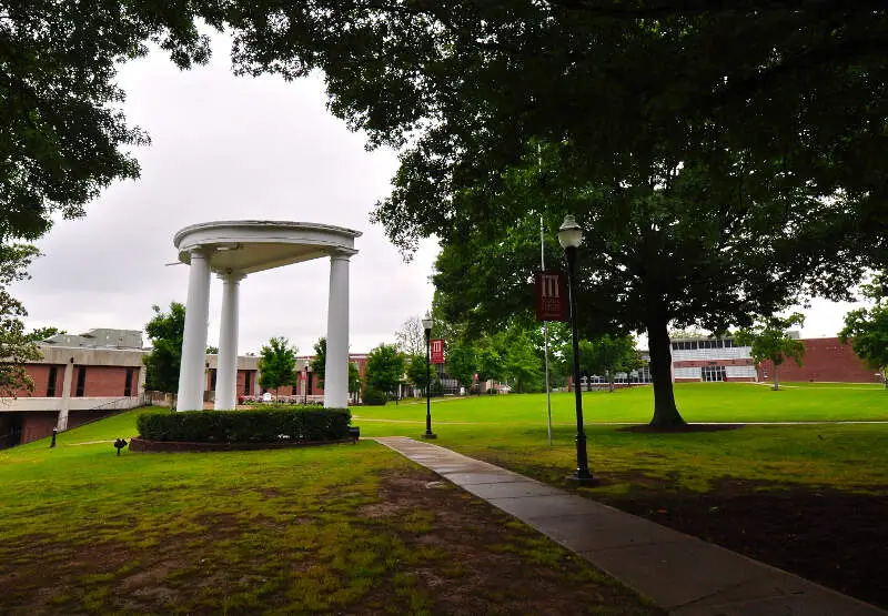 Martin Methodist College