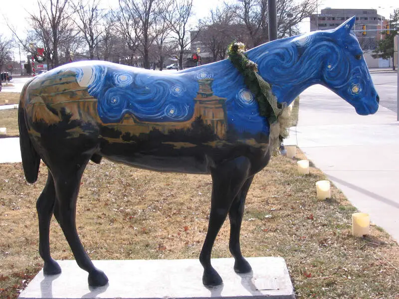 Amarillo Texas Starry Night Horse Dec