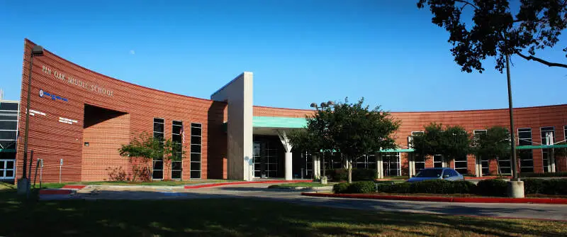 Pin Oak Panorama