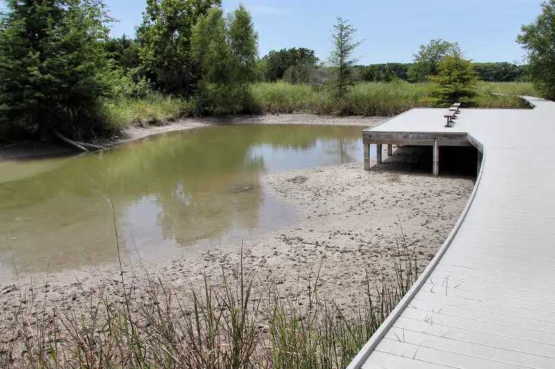 Cibolo Nature Center Marsh