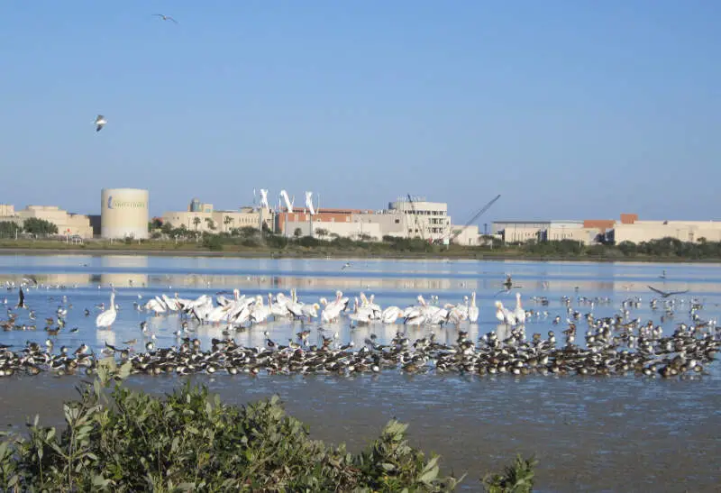 Corpus Christi, Texas