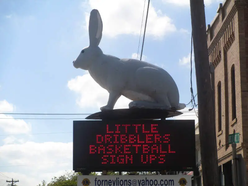 Jackrabbit Symbol In Forneyc Tx Img