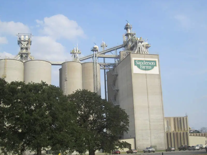 Sanderson Farms Operationc Near Franklinc Tx Img