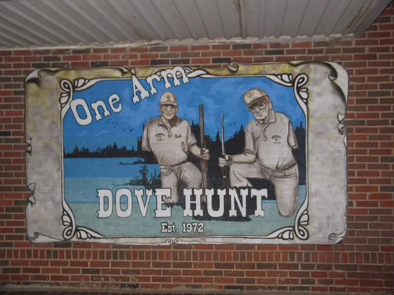 One Arm Dove Hunt Mural