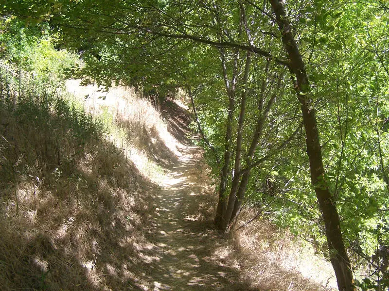 Hyrum Lake Park Trail