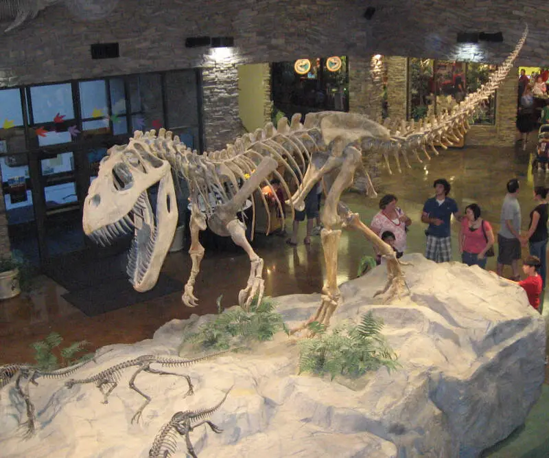 Museum Al Dinosaur