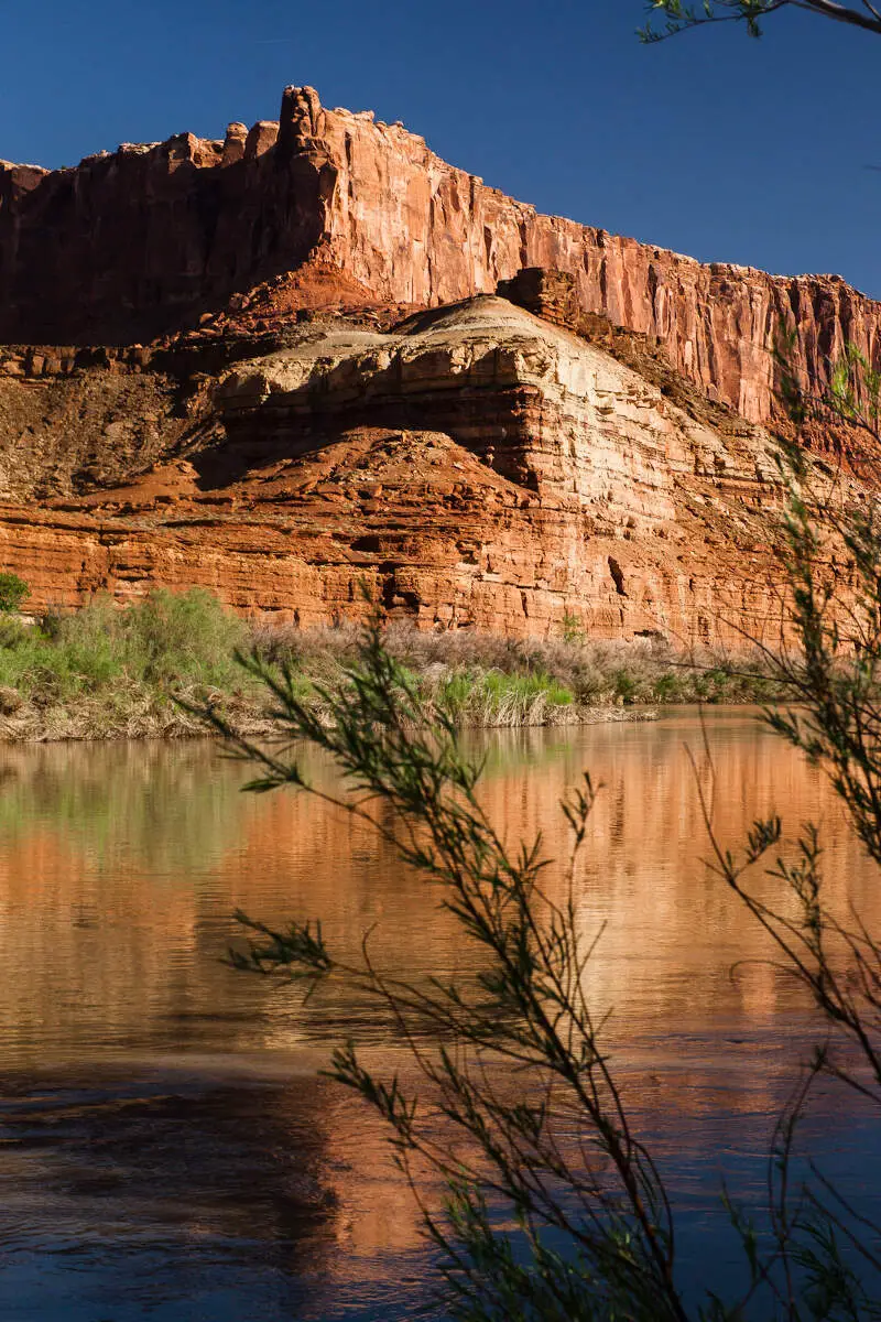 Walls Of Labyrinth Canyon From Hardscrabble B Campsite