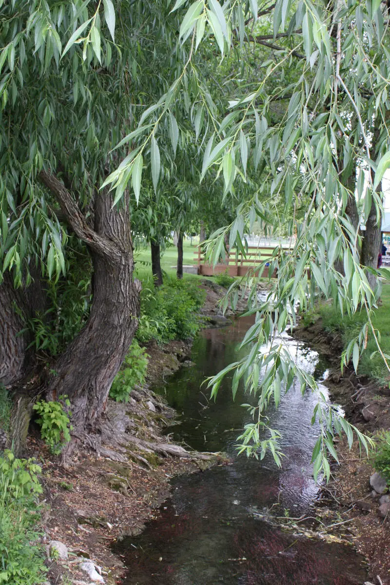 Bridge At Fitts Park