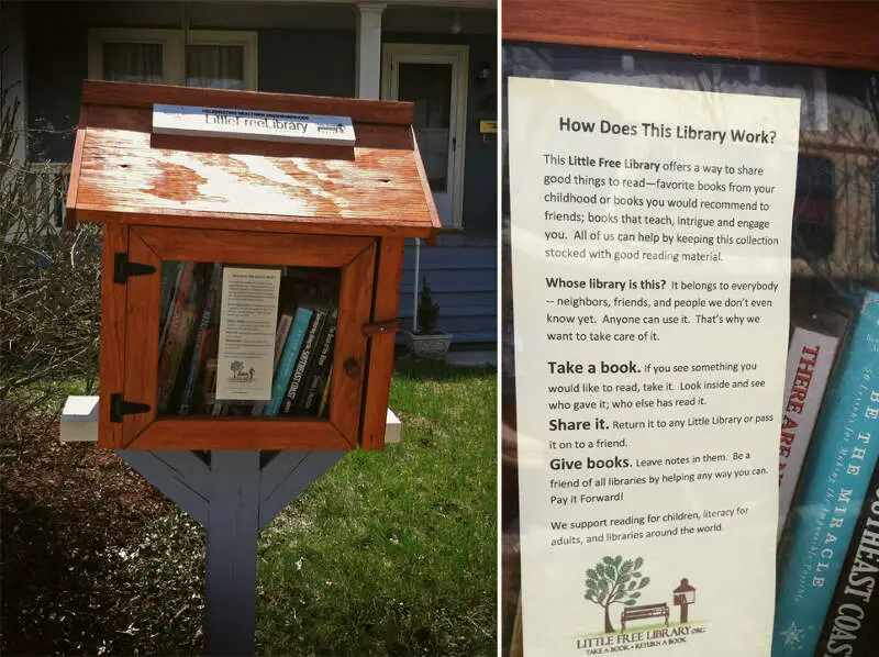 Harrisonburgs Little Free Library