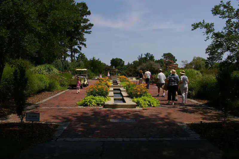 Norfolkbotanicalgardenperennial