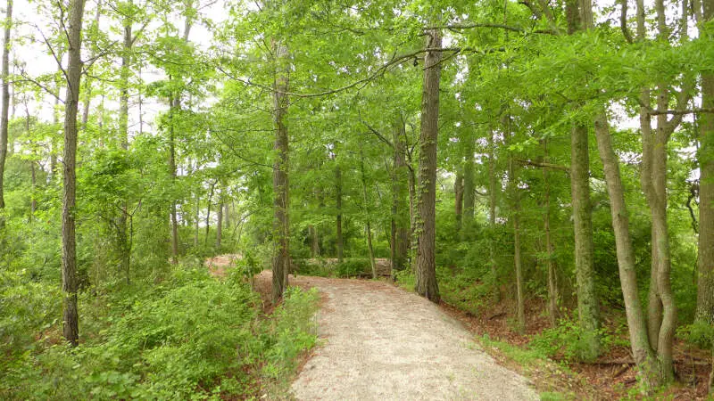 Poquosonc Virginia Museum Marsh Path