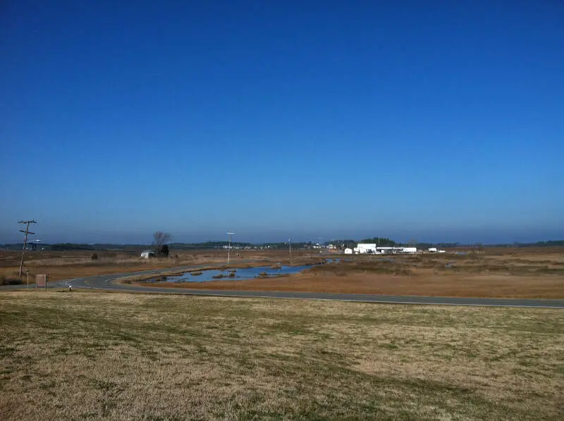 Messick Point View Towards Poquoson