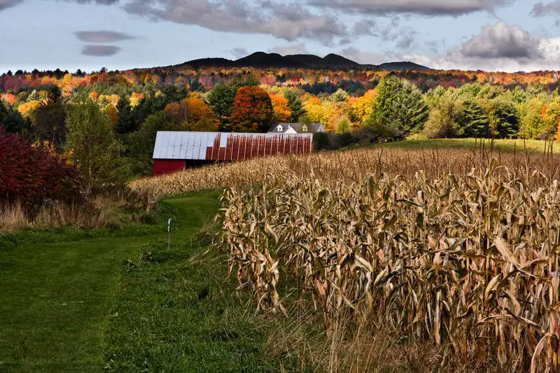 Stowe, VT