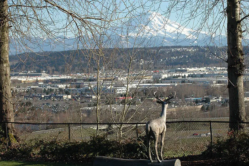 Valley Floor View Auburnc Washington