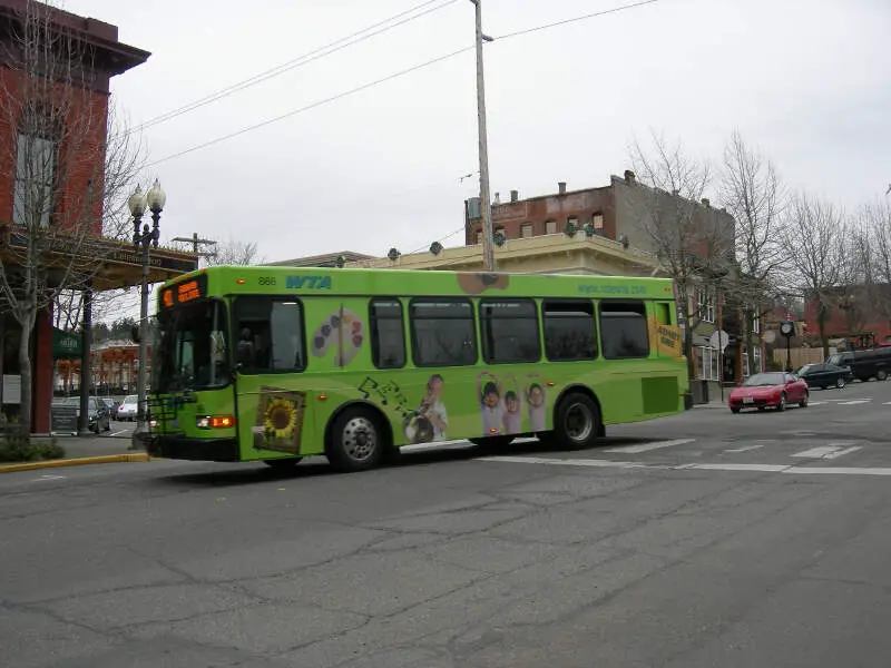 Whatcom Transit Bus