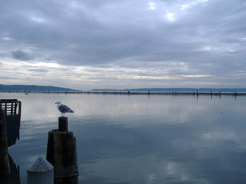 Everett, Washington