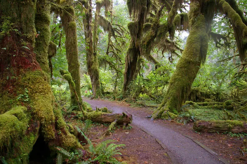 Forks, Washington