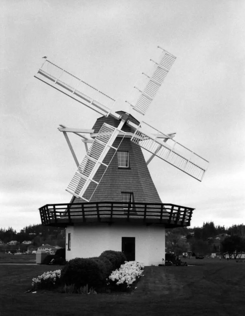 Oakharborwindmill