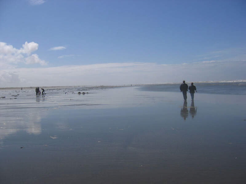 Ocean Shores Clam Digging