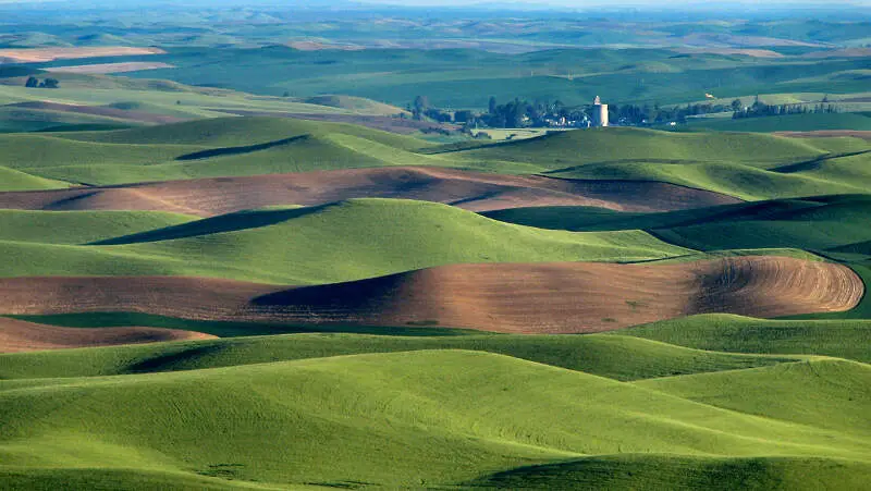 Palouse Hills Northeast Of Walla Walla