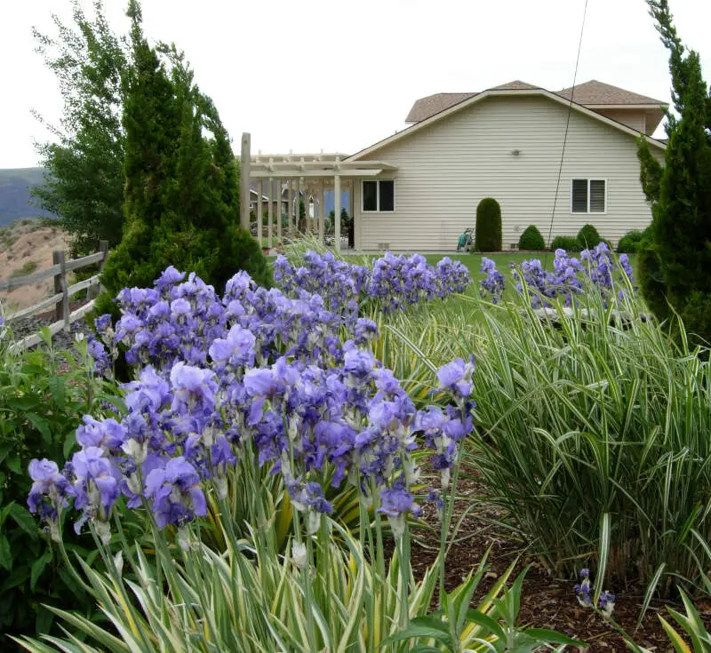 Quincy, Washington