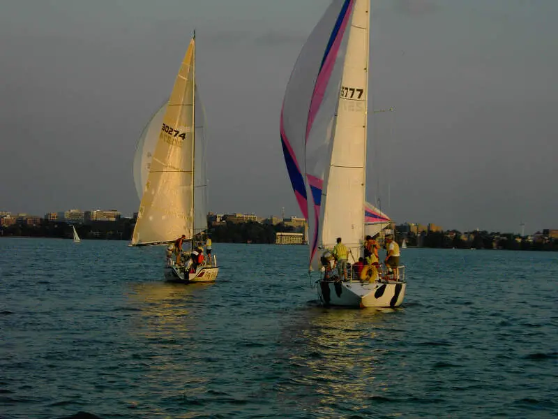 Sailboats On Lake Mendota